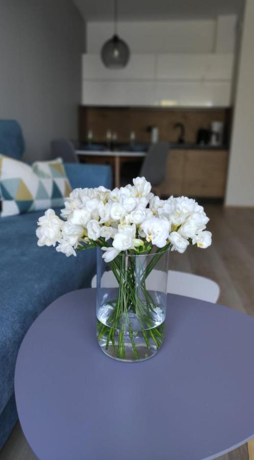 Apartament Kameleon Dzwirzyno Ngoại thất bức ảnh